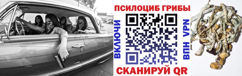 Галлюциногенные грибы мухоморы  Куровское 